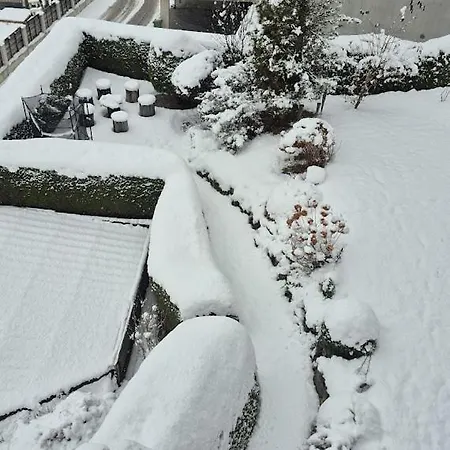 Sonnenschein * 富尔普梅斯