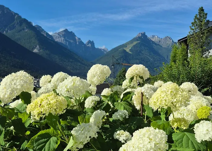 Sonnenschein Lägenhet