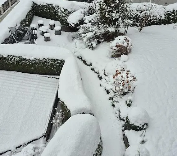 Sonnenschein * 富尔普梅斯